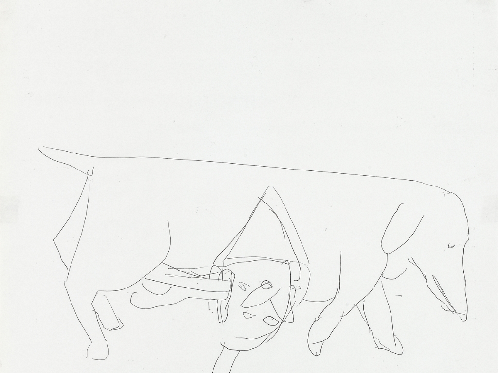 51 x 71 cm I
